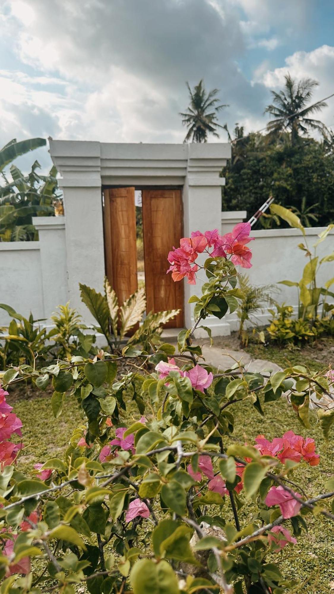 Damuh * Ubud
